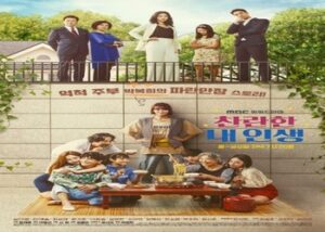 My Wonderful Life [K-Drama] (2020)
